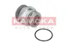 Водяной насос KAMOKA T0249 (фото 1)