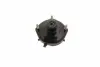 MAZDA подушка амортизатора задн. лів. 323 F VI (BJ) 1.6 01-04, 323 F VI (BJ) 2.0 D 98-04 KAUTEK MZSM010 (фото 1)
