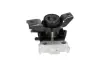 PARTS TOYOTA Опора двигуна права RAV 4 III 2.0/2.4 05-13 KAVO EEM9379 (фото 4)