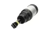 PARTS LAND ROVER пневмо амортизатор задн. Discovery 04-, Range Rover Sport 05- KAVO SAS10020 (фото 1)