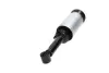 PARTS LAND ROVER Пневмо амортизатор пер. Discovery 04-, Range Rover Sport 05- KAVO SAS10027 (фото 1)