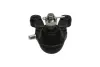 PARTS HYUNDAI кульова опора нижн.прав.H-1,Starex 01- KAVO SBJ3022 (фото 3)