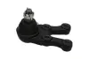 PARTS HYUNDAI кульова опора нижн.прав.H-1,Starex 01- KAVO SBJ3022 (фото 4)