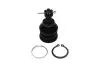 PARTS TOYOTA кульова опора Yaris 1.0 05-11, 1.8 07-11 KAVO SBJ9034 (фото 1)