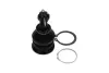 PARTS TOYOTA кульова опора Yaris 1.0 05-11, 1.8 07-11 KAVO SBJ9034 (фото 4)