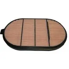 Air filter, by-pass. Фильтр воздушный, запасный LANDINI 3685267M1