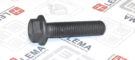 Гвинти кріплення вісі LEMA 90160120