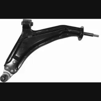 Рычаг независимой подвески колеса, подвеска колеса LEMFORDER 2956201
