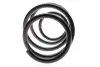 Пружина (передня) Nissan Juke 1.5dCi/1.6DIG-T 10-19 (SUV) LESJOFORS 4062081 (фото 4)