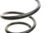 Пружина (передня) VW Tiguan 2.0TDI 4motion/Skoda Karoq 2.0TDI 4x4/Kodiaq 2.0TDI 4x4 АКПП 16- (SUV) LESJOFORS 4095143 (фото 2)
