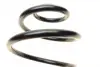 Пружина (задня) Opel Corsa C 1.0-1.4/1.3CDTI/1.7CDTI/DI/DTI 00-09 (накл.зад.ч) (з пост.d) LESJOFORS 4263446 (фото 2)