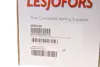 Пружина ходовой части LESJOFORS 4295100 (фото 2)