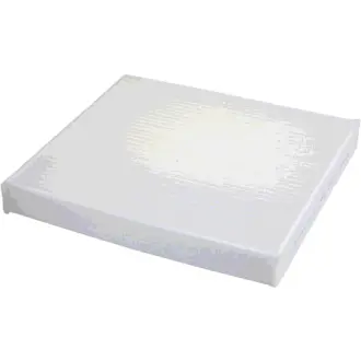 Cabin Air Filter. Фильтр воздушный салона LUBER-FINER CAF1914P
