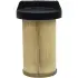 Fuel filter, cartridge. Фильтр топливный, вставка LUBER-FINER L5087F (фото 1)