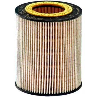 Fuel filter, cartridge. Фильтр топливный, вставка LUBER-FINER L6916F