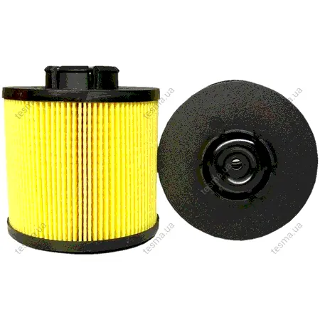 Fuel filter, cartridge. Фильтр топливный, вставка LUBER-FINER L8701F (фото 1)