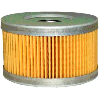 Fuel filter, cartridge. Фильтр топливный, вставка LUBER-FINER L8924F
