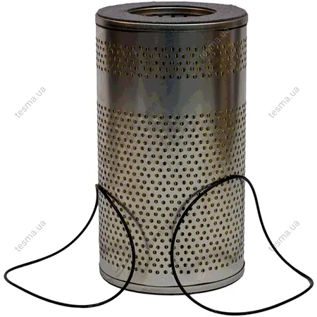 Hydraulic filter, cartridge. Фильтр топливный, вставка LUBER-FINER LH22117 (фото 1)