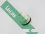 Coolant temperature sensor. Датчик температуры охлаждающей жидкости LUCAS SNB233 (фото 1)