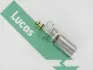 Oil pressure switch. Датчик давления масла LUCAS SOB811 (фото 1)