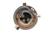 Лампа розжарювання MAGNETI MARELLI 002535100000 (фото 3)