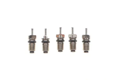 Набір зворотних клапанів MAGNETI MARELLI 007950024440