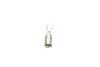 Лампа розжарювання P21-5W 12V BAY15d (вир-во Magneti Marelli) MAGNETI MARELLI 008528100000 (фото 3)