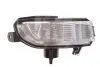 Повторювач повороту на дзеркало Skoda Fabia III 14-22/Octavia II 04-13 (R) MAGNETI MARELLI 182200604400 (фото 1)