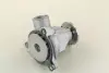 Водяний насос (Вир-во Magneti Marelli кор.код. WPQ0048) MAGNETI MARELLI 352316170048 (фото 3)