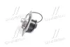 Помпа води WPQ0101 (Вир-во MagnetiMarelli) MAGNETI MARELLI 352316170101 (фото 4)