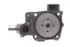 Водяний насос (Вир-во Magneti Marelli кор.код. WPQ0535) MAGNETI MARELLI 352316170535 (фото 7)