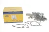 Водяний насос (Вир-во Magneti Marelli кор.код. WPQ0692) MAGNETI MARELLI 352316170692 (фото 1)