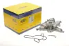 Водяний насос (Вир-во Magneti Marelli кор.код. WPQ0866) MAGNETI MARELLI 352316170866 (фото 2)