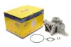 Водяний насос (Вир-во Magneti Marelli кор.код. WPQ0987) MAGNETI MARELLI 352316170987 (фото 2)