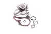 Водяний насос (Вир-во Magneti Marelli кор.код. WPQ1046) MAGNETI MARELLI 352316171046 (фото 1)