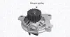 Водяний насос (Вир-во Magneti Marelli кор.код. WPQ1172) MAGNETI MARELLI 352316171172 (фото 1)