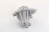 Водяний насос (Вир-во Magneti Marelli кор.код. WPQ1174) MAGNETI MARELLI 352316171174 (фото 4)