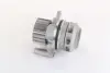 Водяний насос (Вир-во Magneti Marelli кор.код. WPQ1180) MAGNETI MARELLI 352316171180 (фото 1)