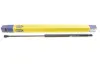 Амортизатор кришки багажника Fiat Panda 03- MAGNETI MARELLI 430719010000 (фото 2)