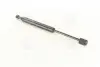 Амортизатор багажника AUDI (вир-во Magneti Marelli кор.код. GS0103) MAGNETI MARELLI 430719010300 (фото 1)
