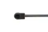 Амортизатор кришки багажника Opel Astra G 98-05 (хетчбек) MAGNETI MARELLI 430719016500 (фото 3)