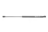 Амортизатор кришки багажника Audi A6 05-11 MAGNETI MARELLI 430719081200 (фото 1)