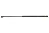 Амортизатор кришки багажника Audi A3 04-13 (хетчбек) MAGNETI MARELLI 430719081500 (фото 1)