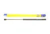 Амортизатор багажника MAGNETI MARELLI 430719082000 (фото 1)