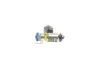 Паливний інжектор DACIA DUSTER, LOGAN, LOGAN MCV, SANDERO RENAULT KANGOO BE BOP, KANGOO EXPRESS, KANGOO II, LOGAN I 1.6/1.6ALK/1.6LPG 02.06- MAGNETI MARELLI 805010089002 (фото 6)