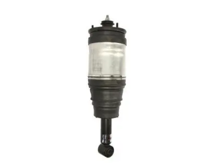Амортизатор MAGNUM TECHNOLOGY APL002MT
