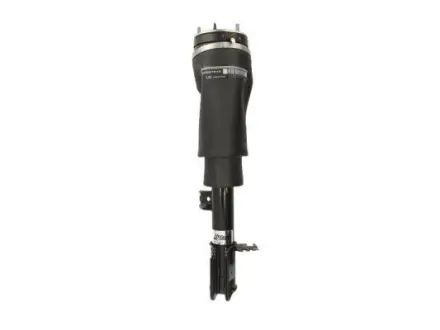 Амортизатор MAGNUM TECHNOLOGY APL003MT