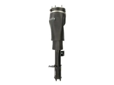 Амортизатор MAGNUM TECHNOLOGY APL004MT