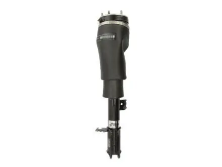 Амортизатор MAGNUM TECHNOLOGY APL006MT
