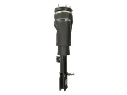 Амортизатор MAGNUM TECHNOLOGY APL008MT